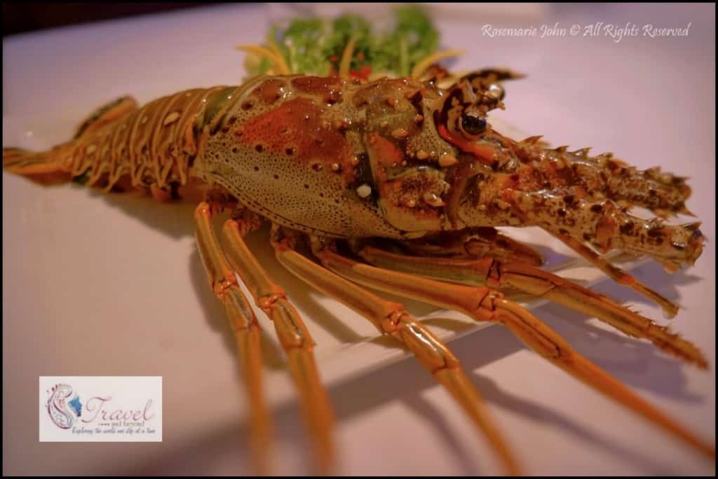 My 800 gram lobster before it hit the fire!