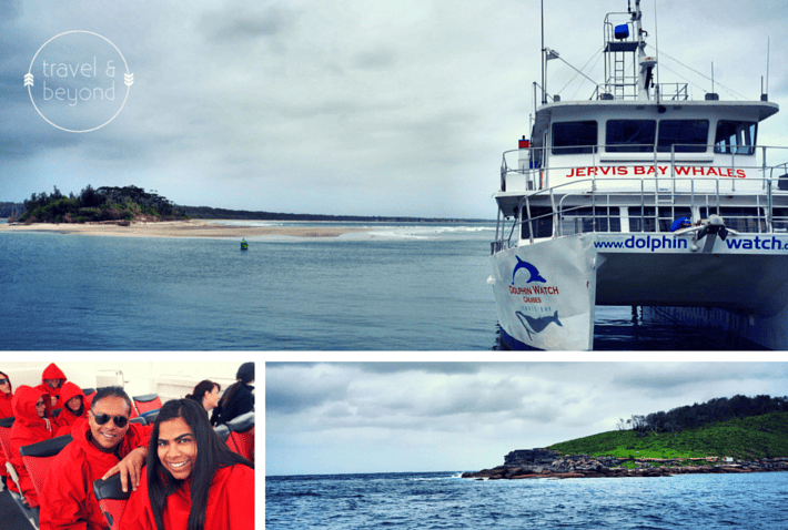 Jervis Bay Whale Watching RJohn