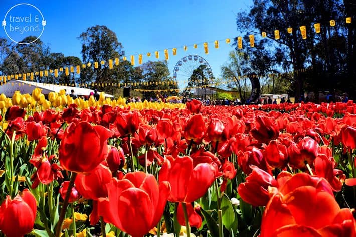 VisitCanberra1-RJohn
