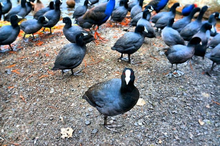 VisitCanberra8-RJohn